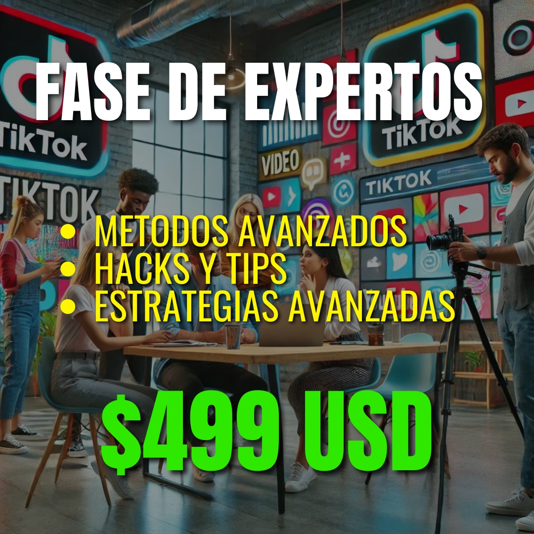 FASE DE EXPERTOS